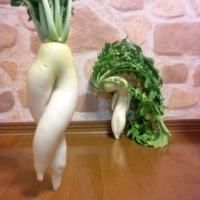 移动宽带办理