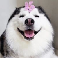 神一样的奇女纸