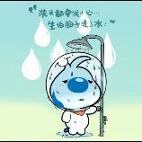 庄里半好人