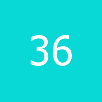365t