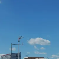 七月 愚公外汇工作室