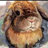 请叫我大师