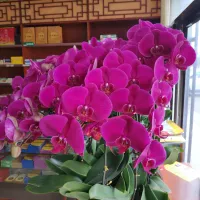 乐迪