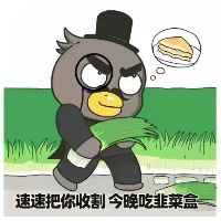 船长c