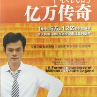 大汉操盘手