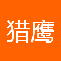 猎鹰出击