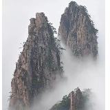 fuyunzi