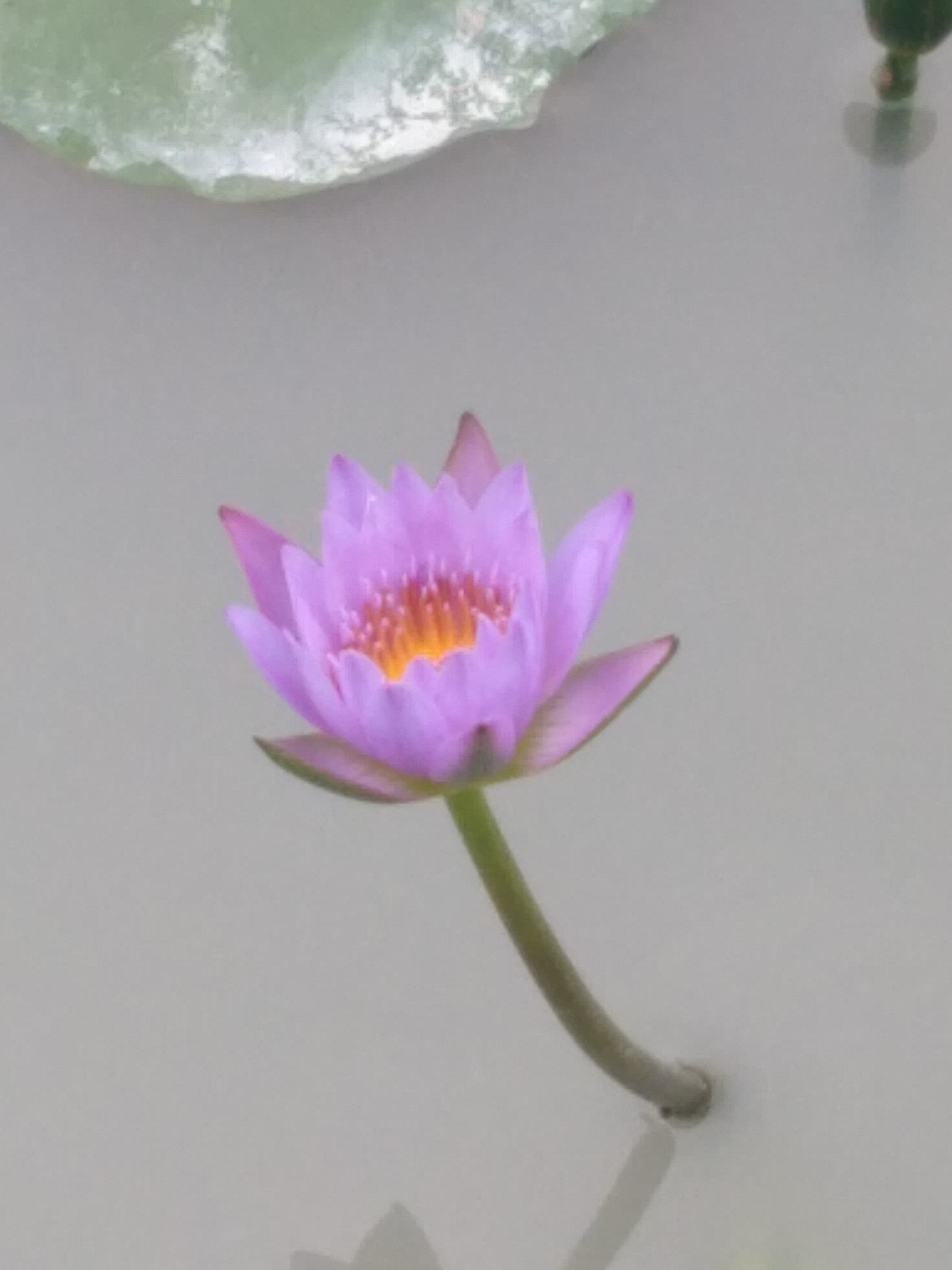 就是山水