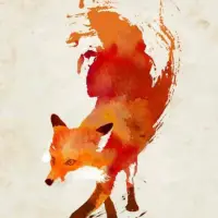 缘哥zwh