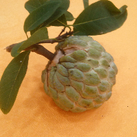 混合系统