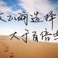捞金司令