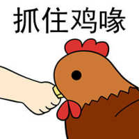 土鸡公主