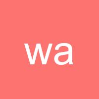 wang990