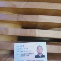 湖北赶死队