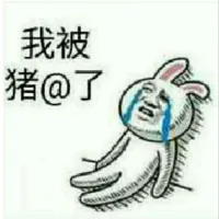 情敌巴菲特