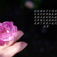 尘埃里起舞