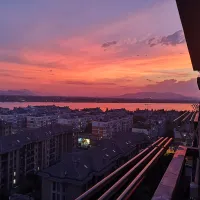 海浪花