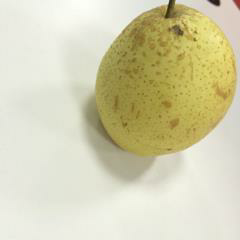 花花花