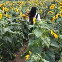 最爱小仙女