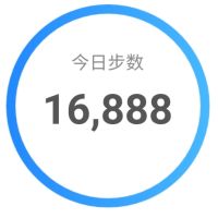 风雨同舟 16888