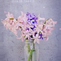 璇姐币圈论
