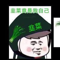 好大一棵韭菜