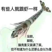跟着情歌做棒日