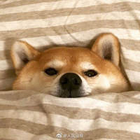 蜡笔三月干掉太乙