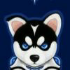 uer avatar