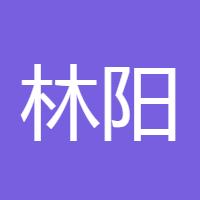 林阳A1