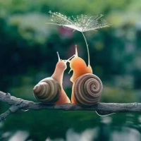 布衣行者