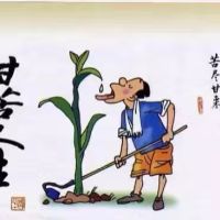 我是一位农民