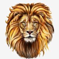 LionKing
