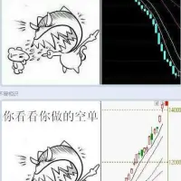 陷阱-养猪-屠宰