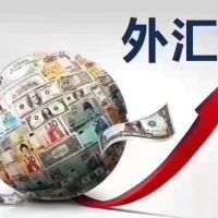 一个月一次亿欧