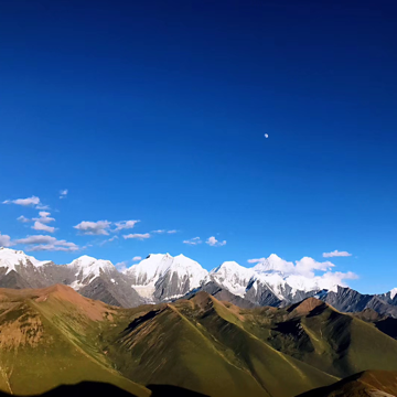 黄金大山哥