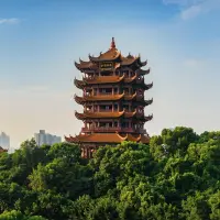 小新陶币
