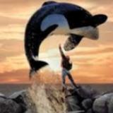 freewilly