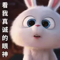 啥都会的青见女