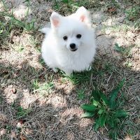 我爱我家小莹子