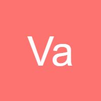 ValutradesCN