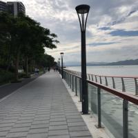 冷静发财