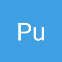 Putra