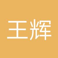 王辉123