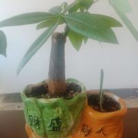 峰由心生