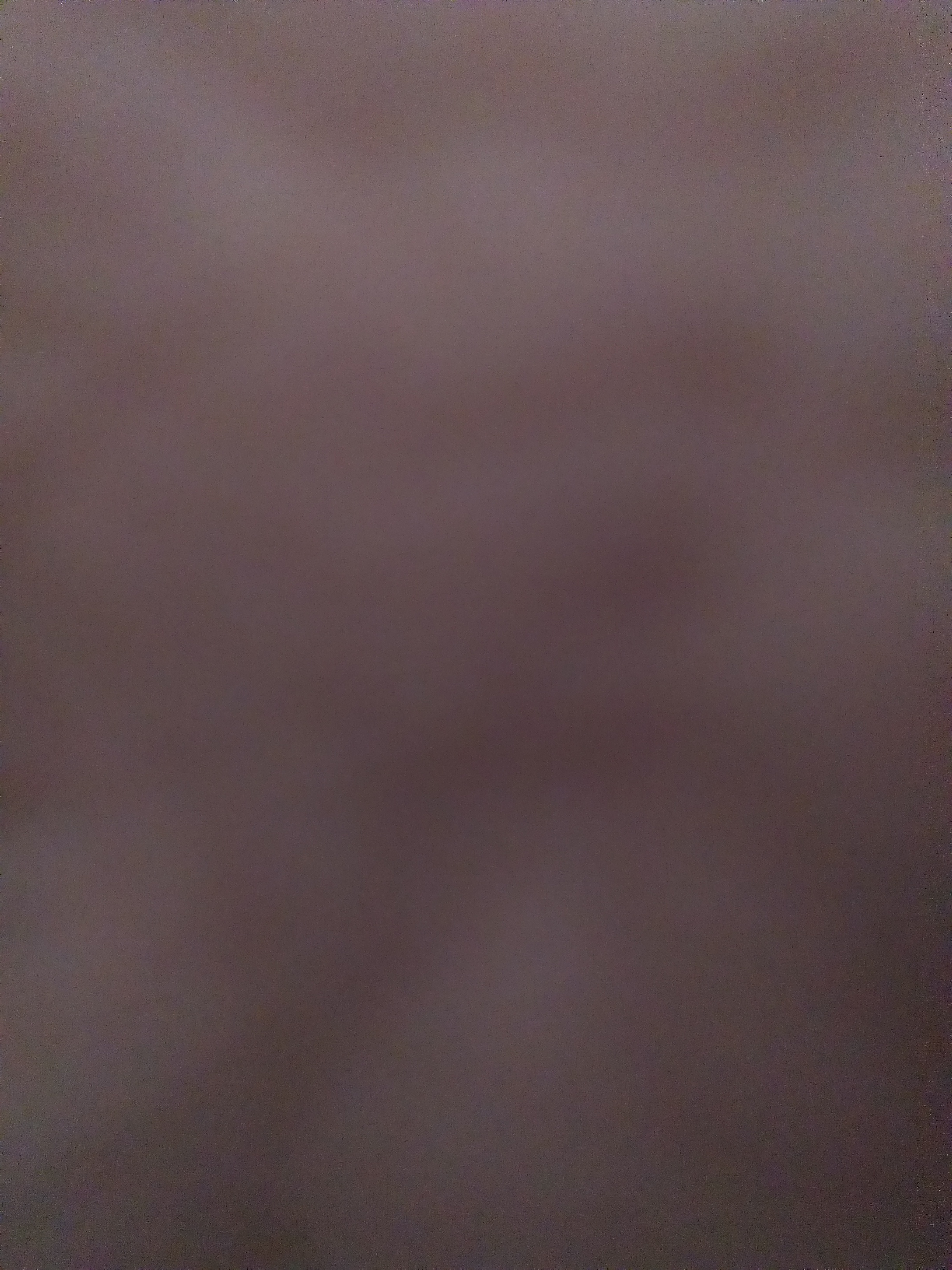 sunqiting666