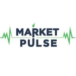 Market Pulse