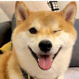 holuck