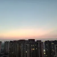 大海里的小鱼