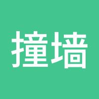 撞墙的猫